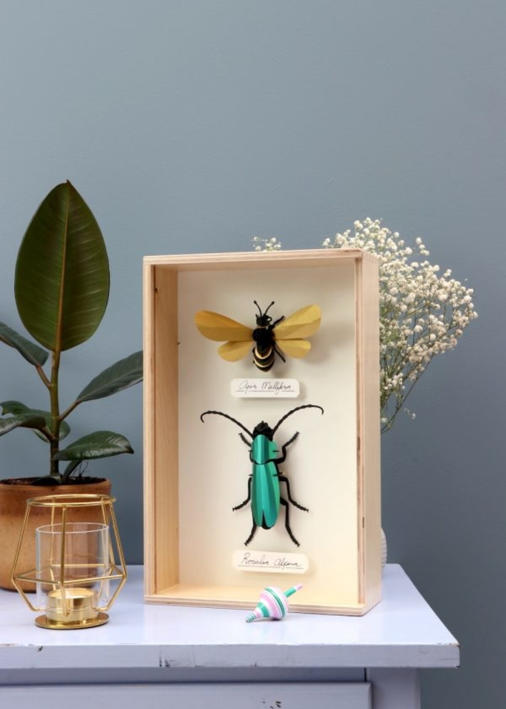 DIY DECORATION -  Scarabée Rosalia