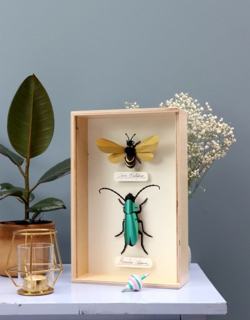 DIY DECORATION - Rosalia Beetle