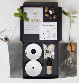 Luxury Gift Set - Cultivate in Water