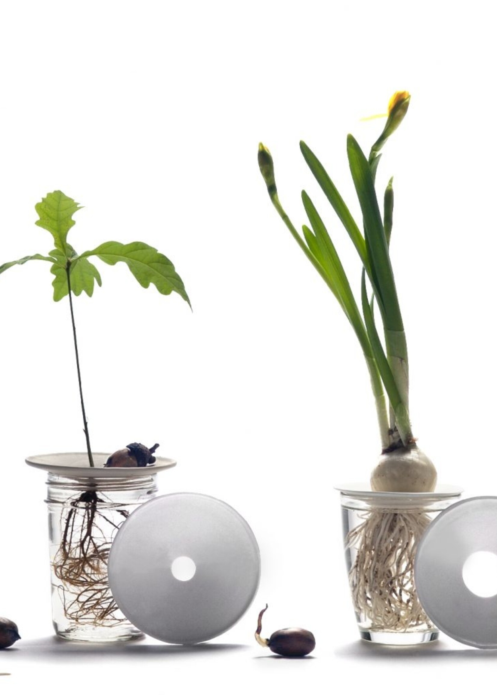 Luxe Cadeauset - Kweken op Water