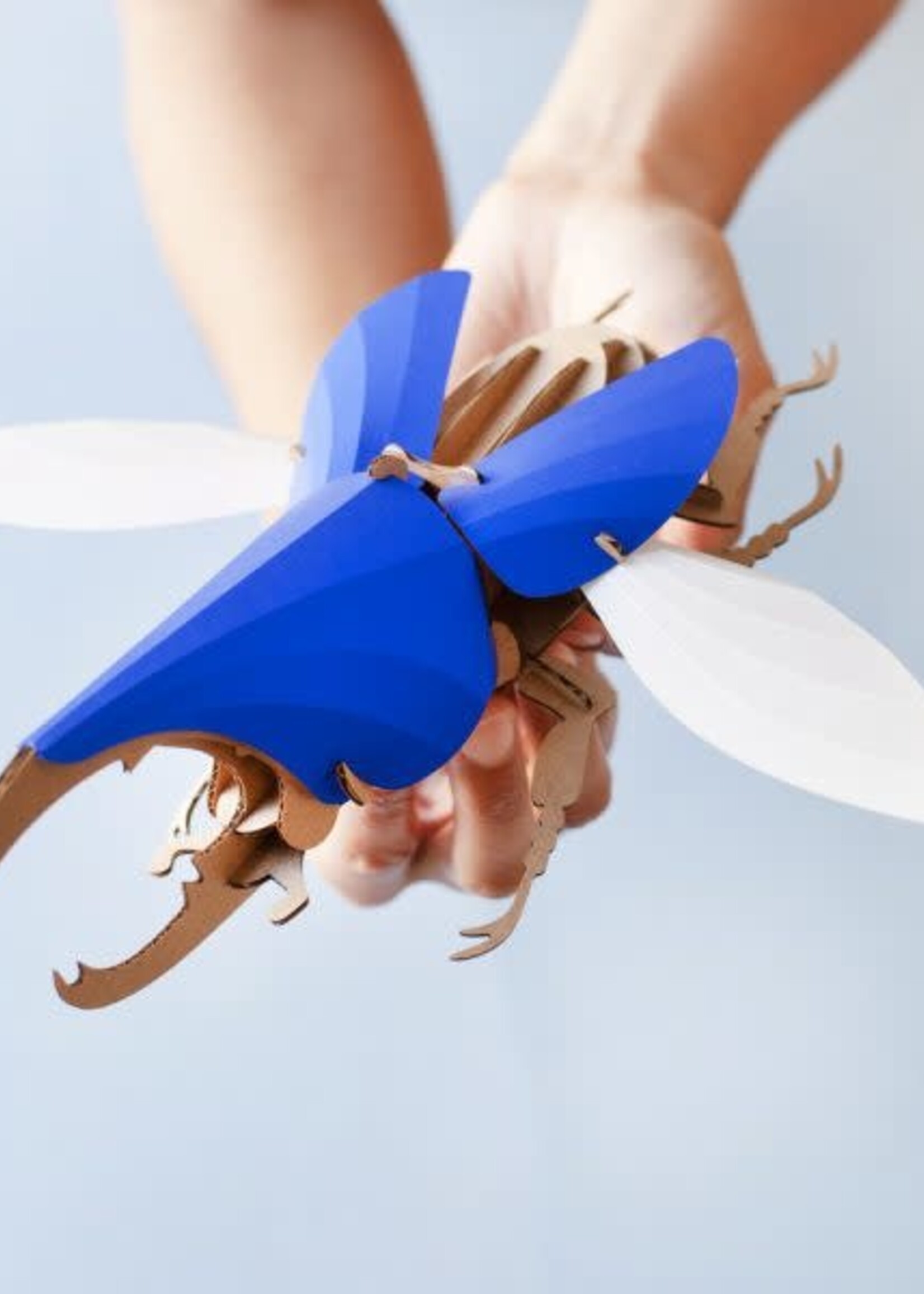 DIY DECORATION - Dynaste Hercule