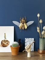 DIY DECORATION - Atlas Beetle