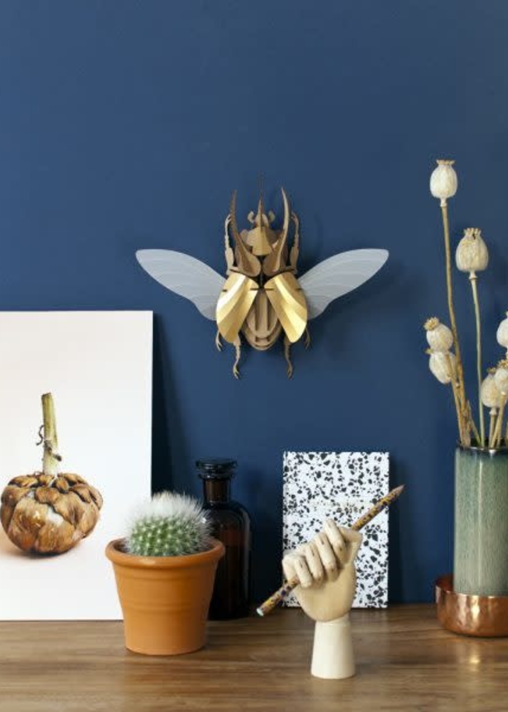 DIY DECORATION - Scarabée-Atlas