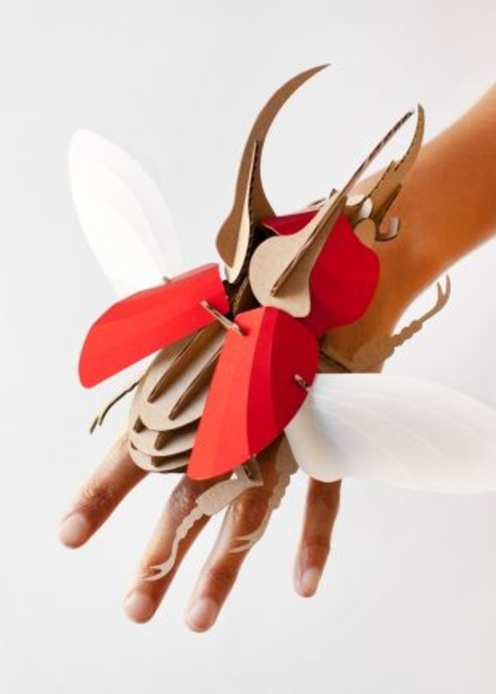 DIY DECORATION - Atlas Beetle