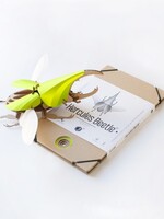 DIY DECORATIE - Herculeskever