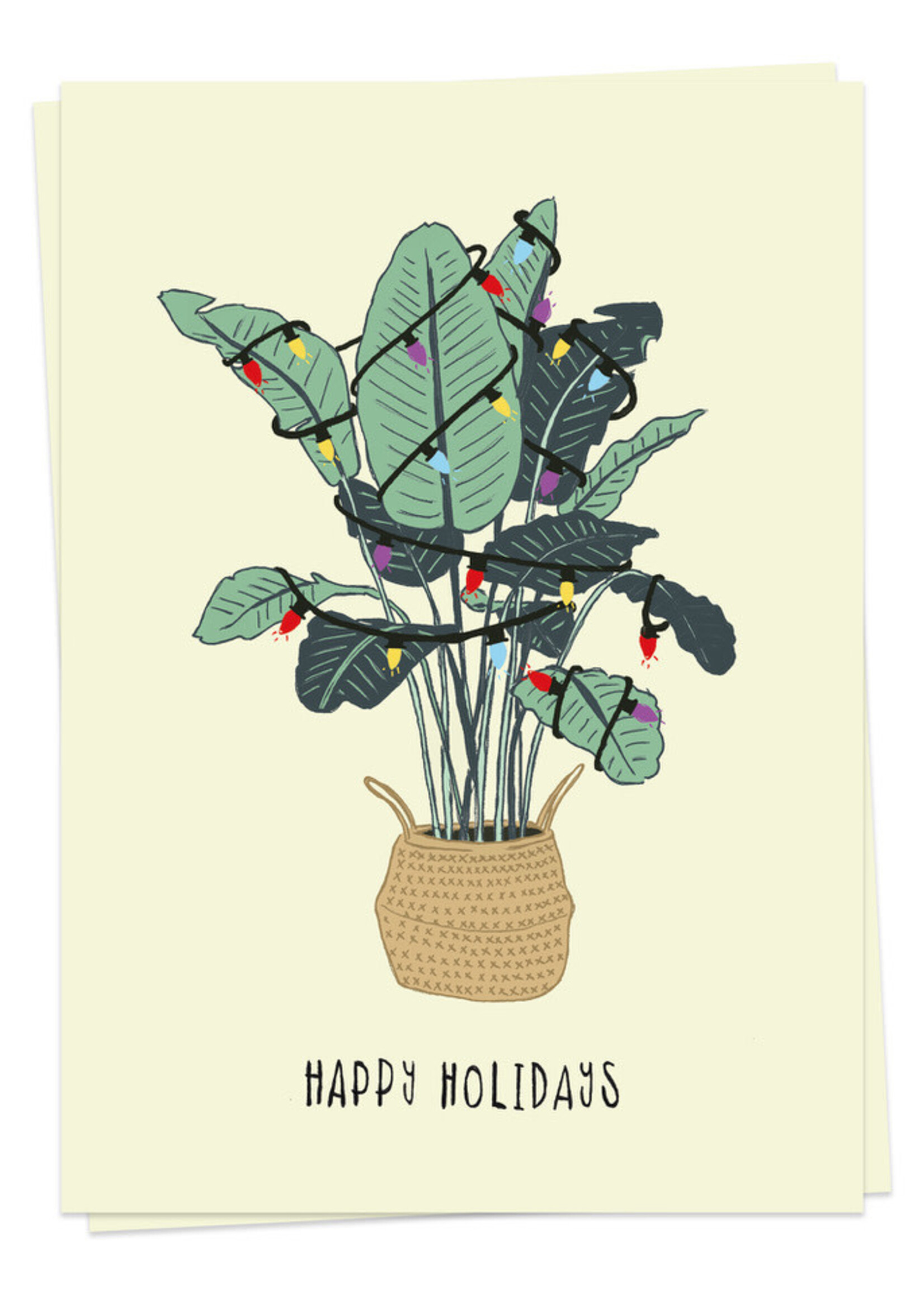 KAART BLANCHE - Christmas Plant