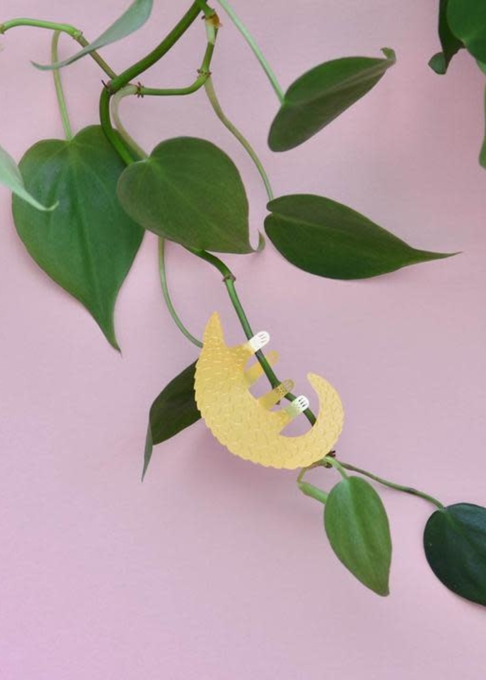 GOLDEN PLANT HANGER - Pangolin
