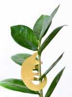 GOUDEN PLANTENHANGER - Schubdier