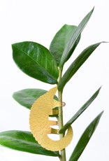 GOLDEN PLANT HANGER - Pangolin