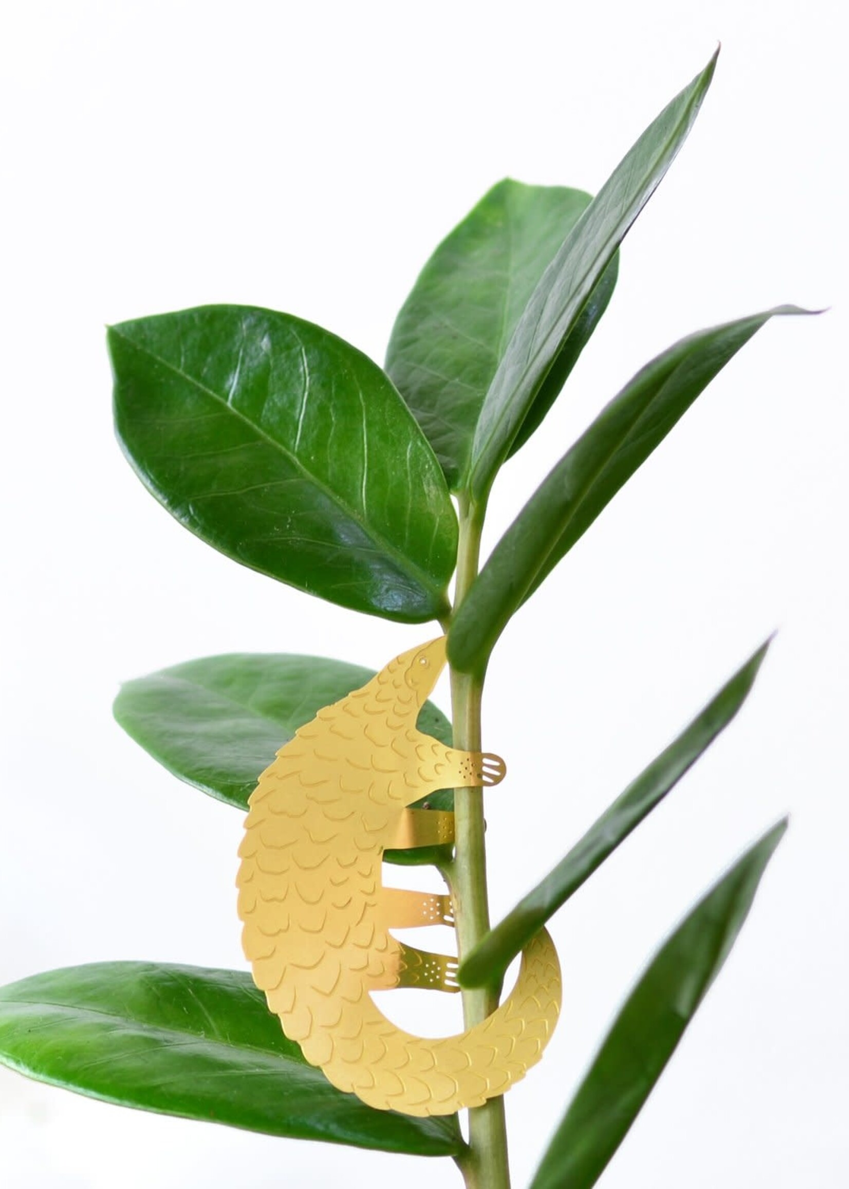 GOLDEN PLANT HANGER - Pangolin