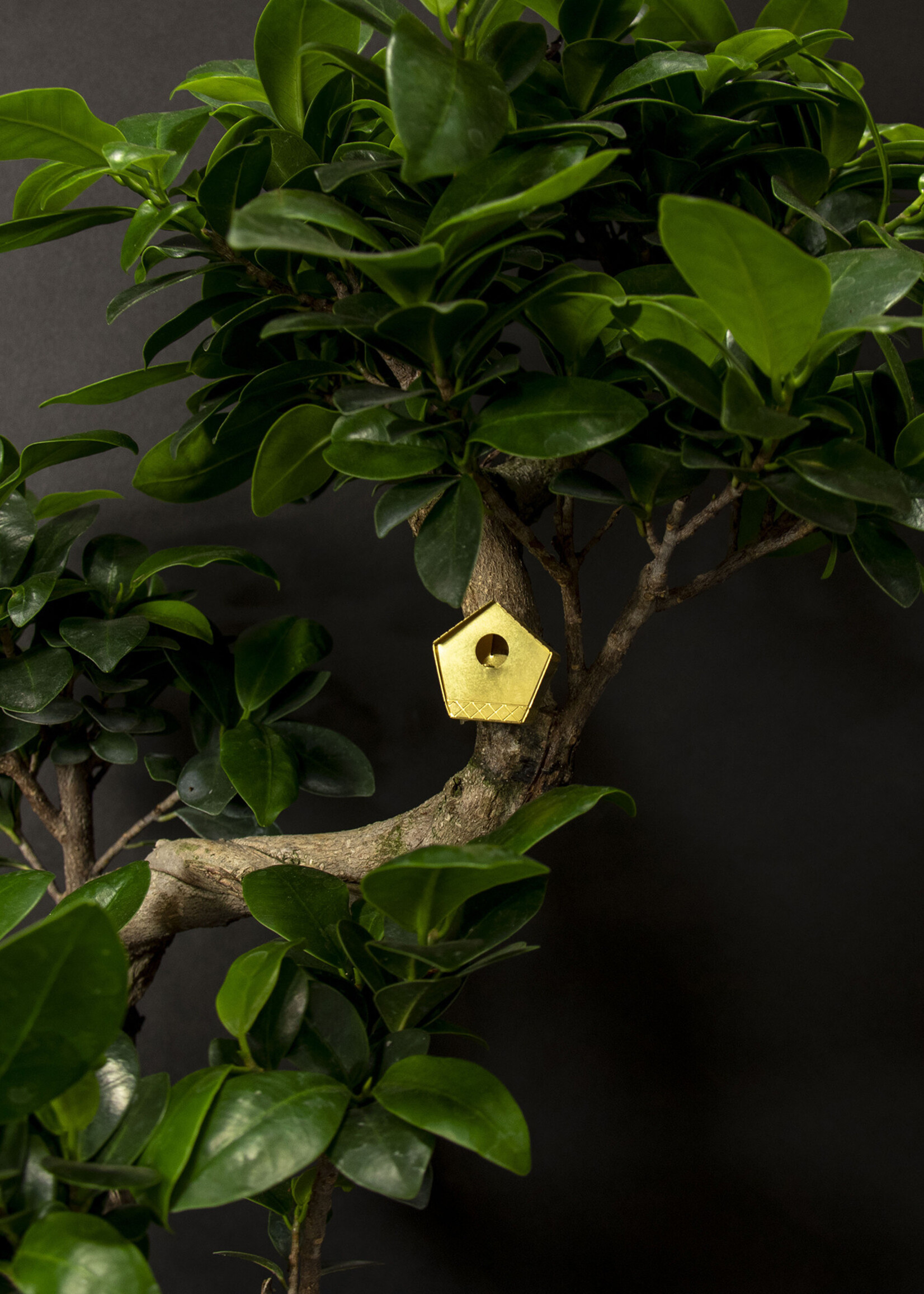 Small birdhouse for your plants