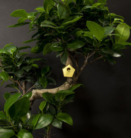 Small birdhouse for your plants