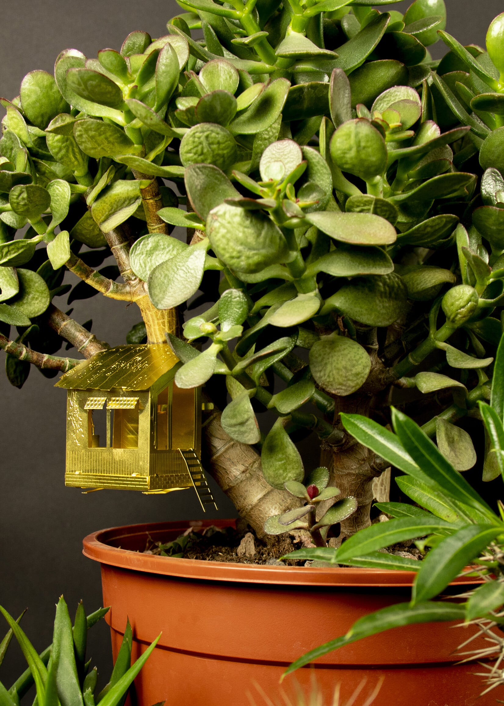 Tiny Treehouse for your plants
