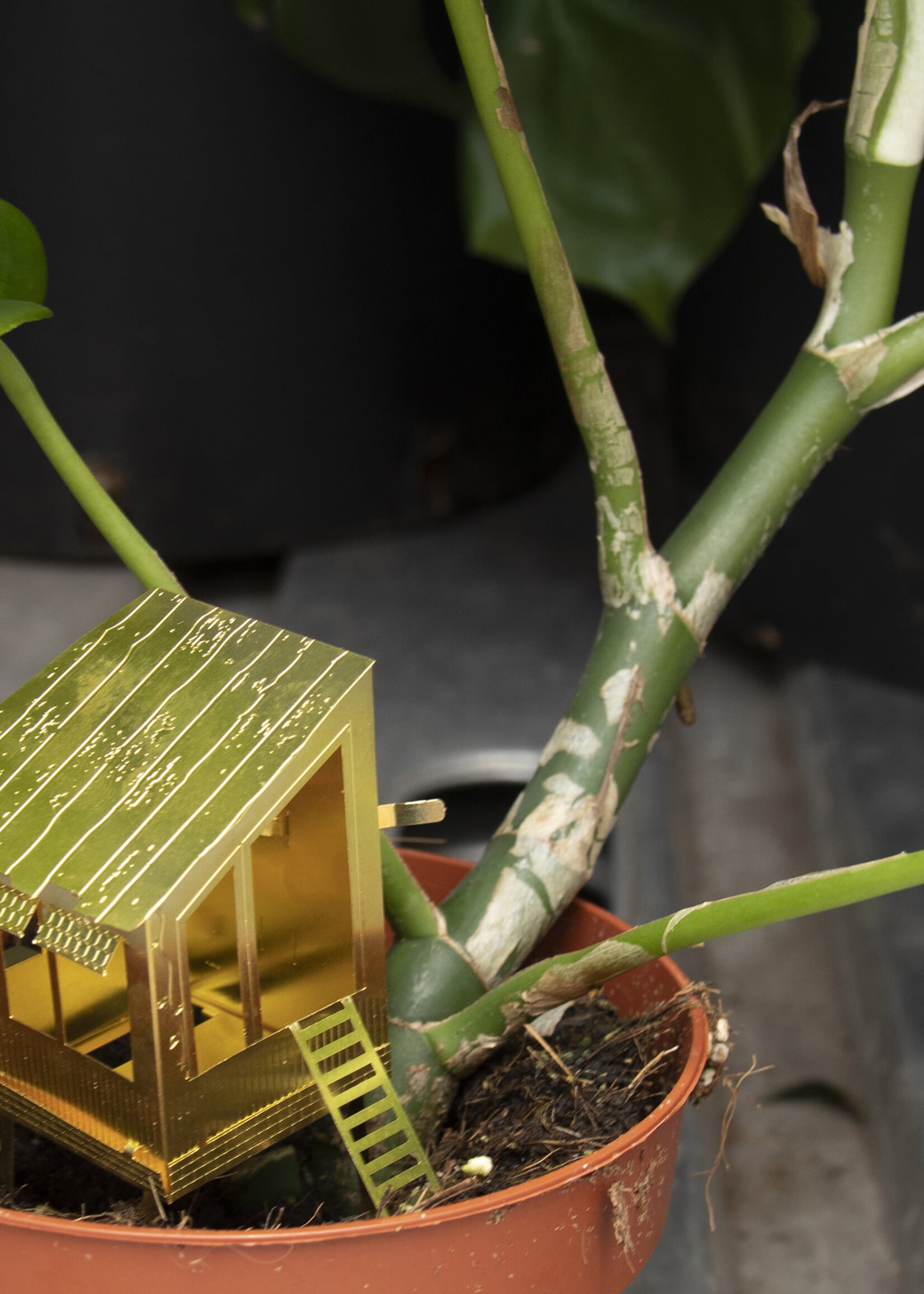 Tiny Treehouse for your plants
