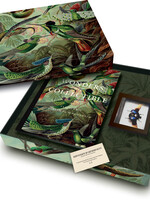 BOX OF WONDERS  - Wonders are collectible