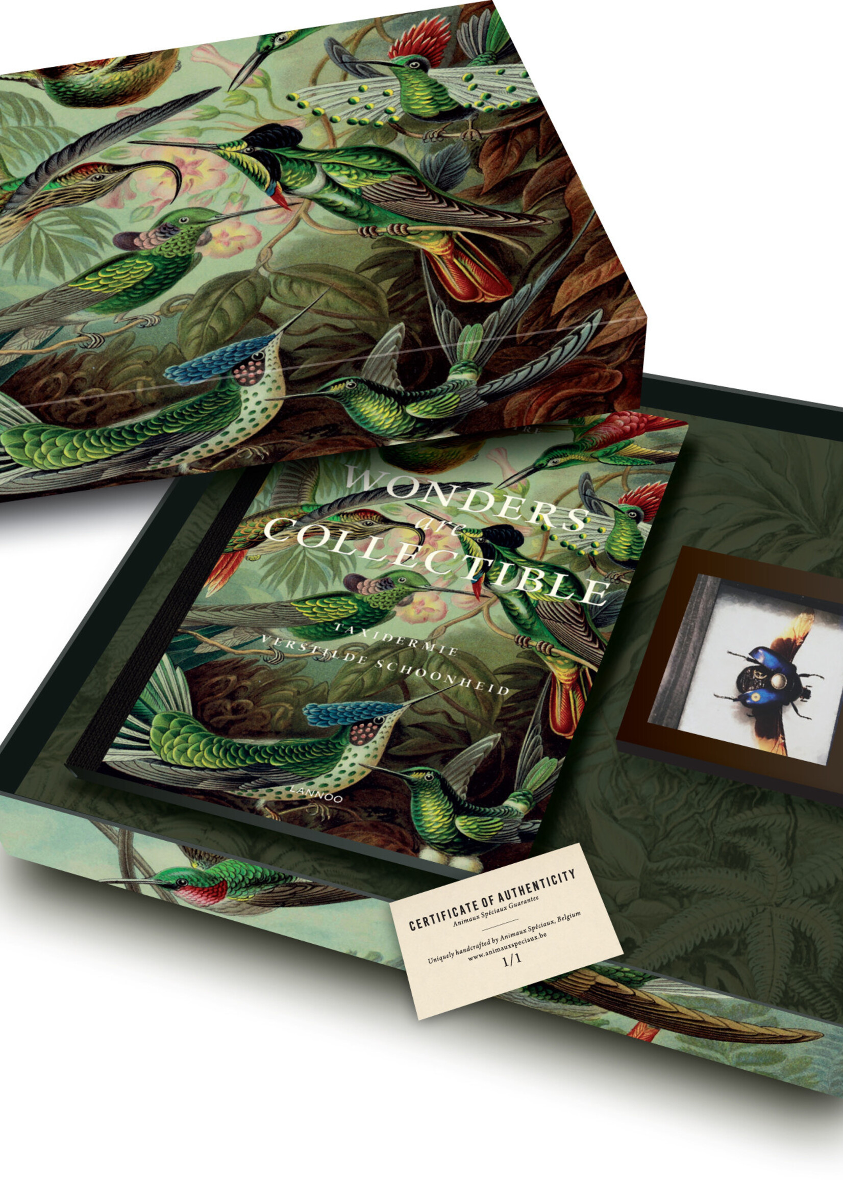 BOX OF WONDERS - Wonders are collectible