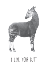 Animaux Spéciaux CARTE POSTAL - I Like Your Butt