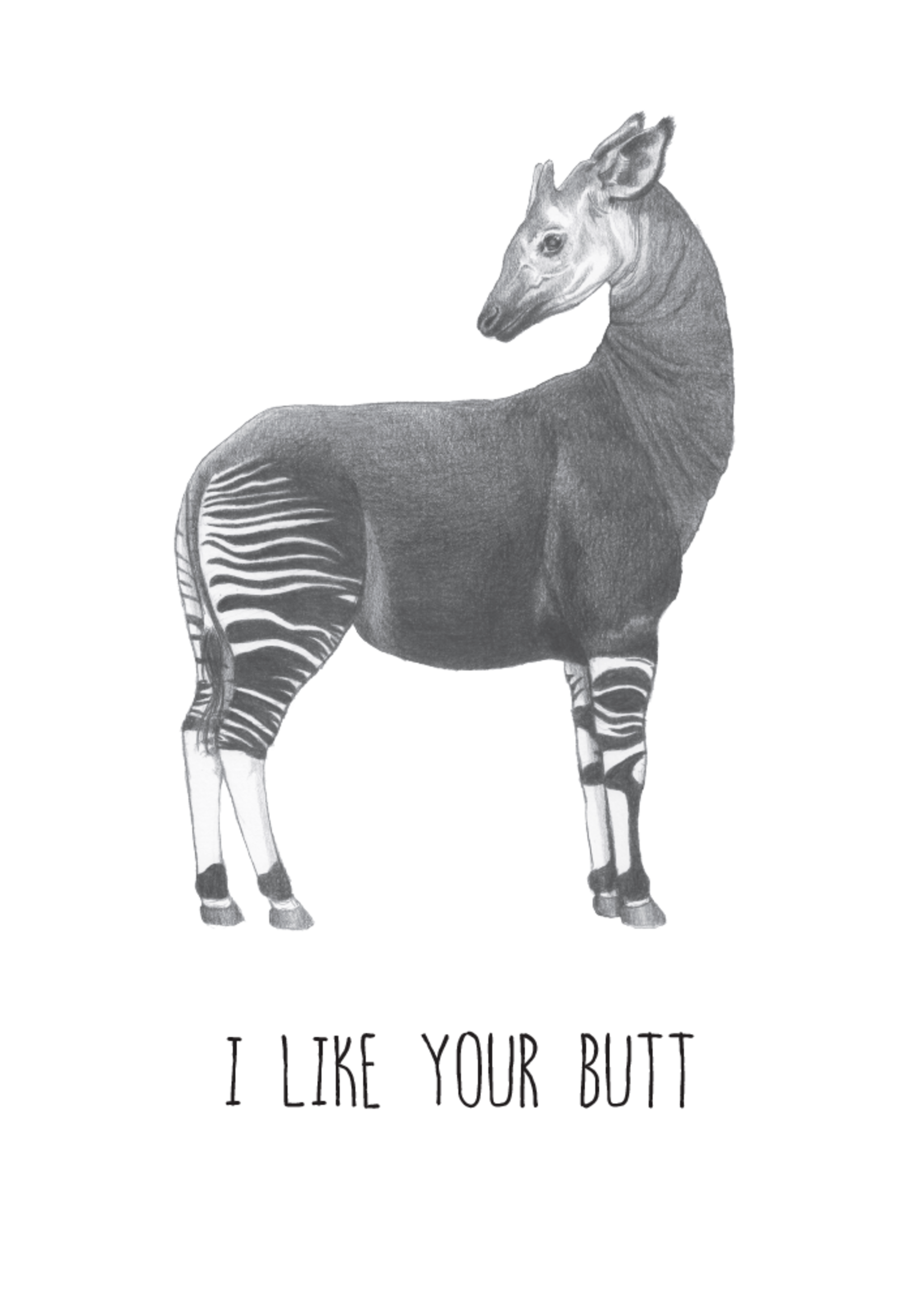 Animaux Spéciaux POSTKAART - I Like Your Butt