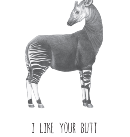 Animaux Spéciaux POSTCARD - I Like Your Butt