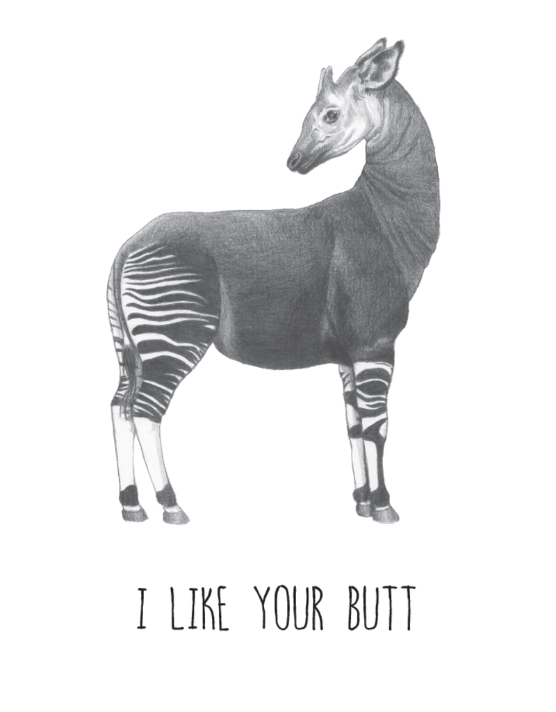 Animaux Spéciaux CARTE POSTAL - I Like Your Butt