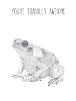 Animaux Spéciaux POSTKAART - You're Toadally Awesome