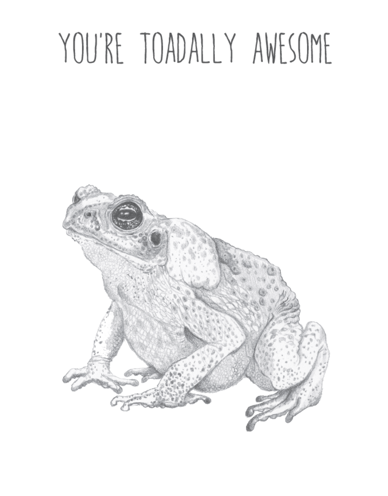 Animaux Spéciaux POSTCARD - You're Toadally Awesome