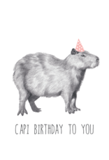 Animaux Spéciaux CARTE POSTAL - Capi Birthday to You