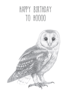 Animaux Spéciaux POSTKAART - Happy Birthday to Hoooo