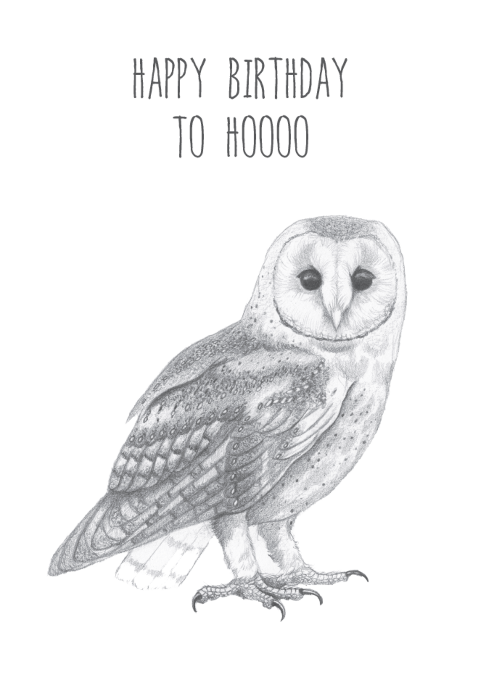Animaux Spéciaux POSTCARD - Happy Birthday to Hoooo