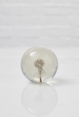 Animaux Spéciaux PAPERWEIGHT - Dandelion (m)