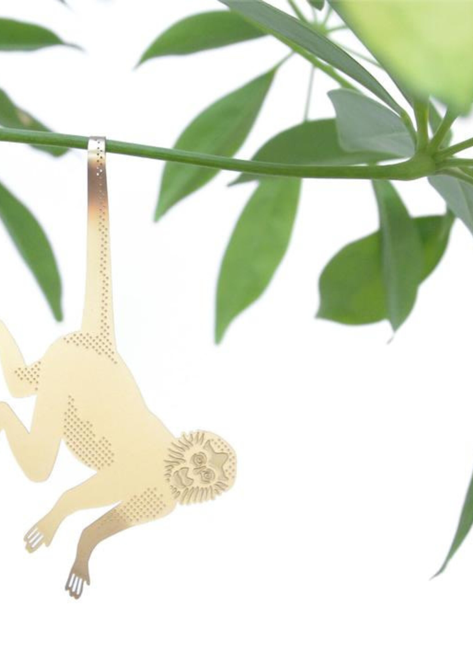 GOLDEN PLANT HANGER - Spider Monkey