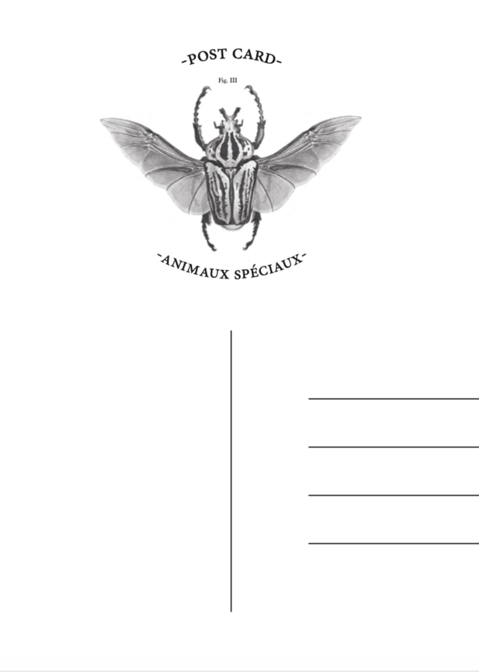 Animaux Spéciaux CARTE POSTAL - Will You Bee My Valentine
