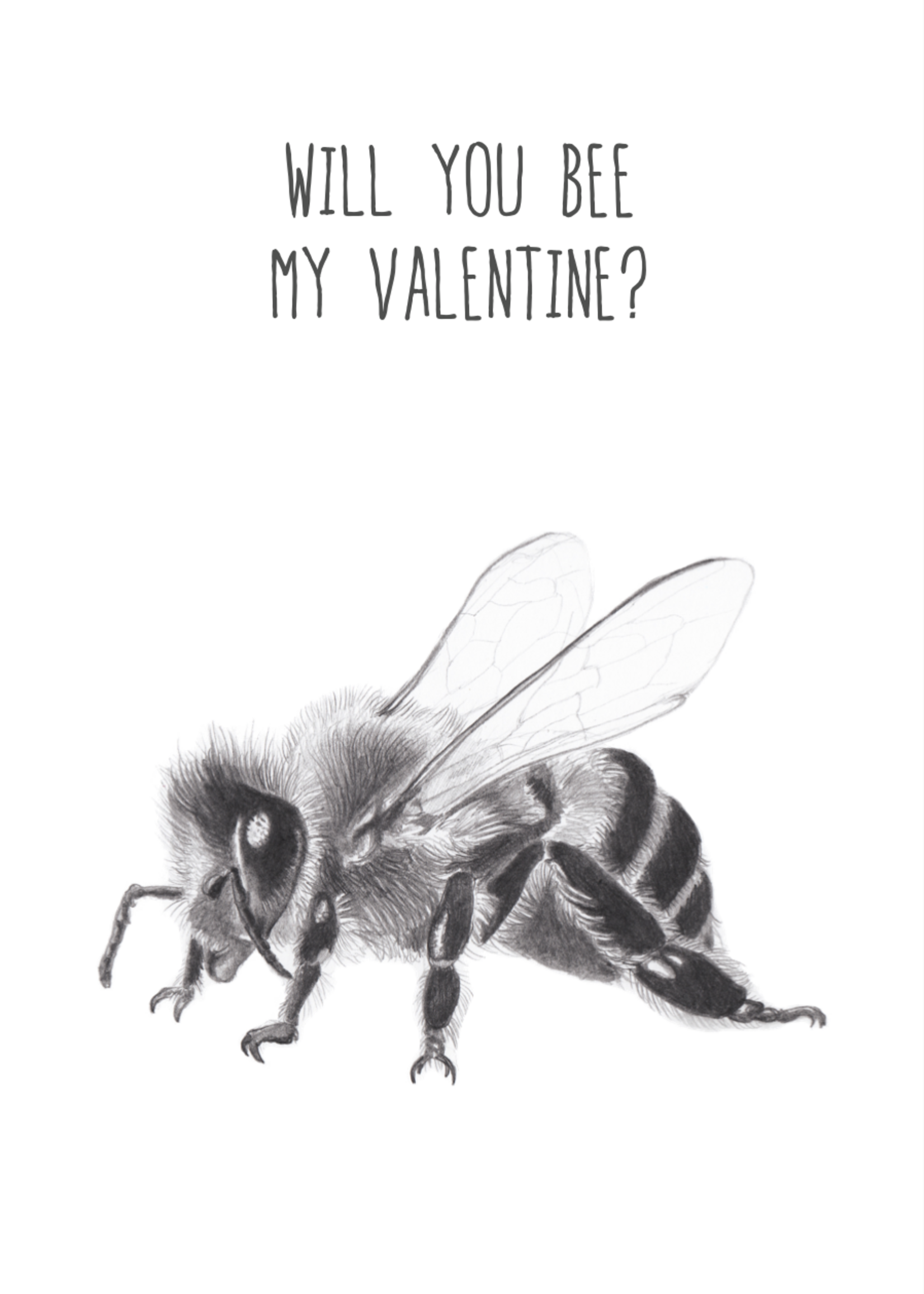Animaux Spéciaux CARTE POSTAL - Will You Bee My Valentine