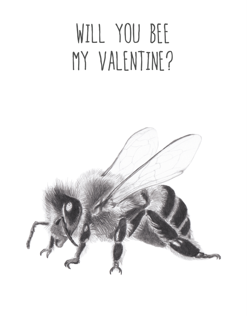 Animaux Spéciaux POSTCARD - Will You Bee My Valentine