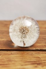 Animaux Spéciaux PAPERWEIGHT - Dandelion (m)