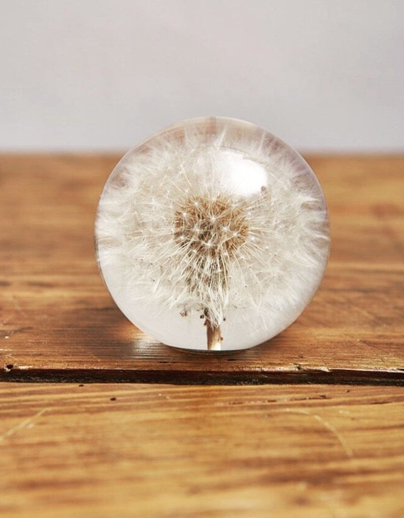 Animaux Spéciaux PAPERWEIGHT - Dandelion (m)