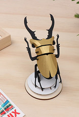 DIY DECORATION - Stag Beetle (s)