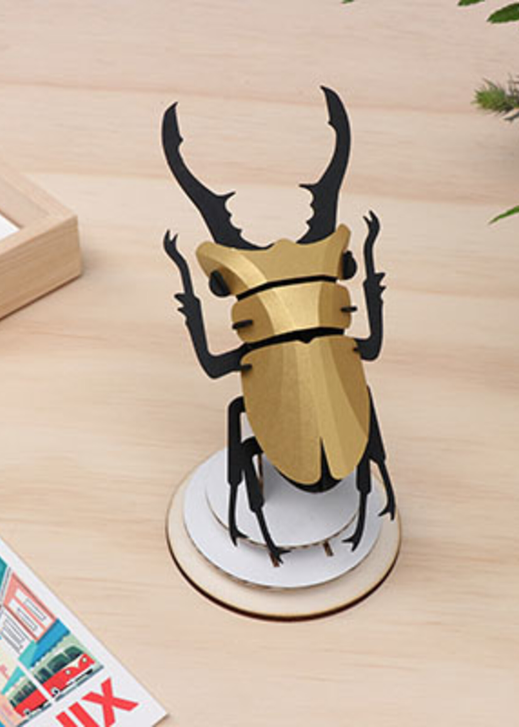 DIY DECORATION - Lucane Cerf-Volant (s)