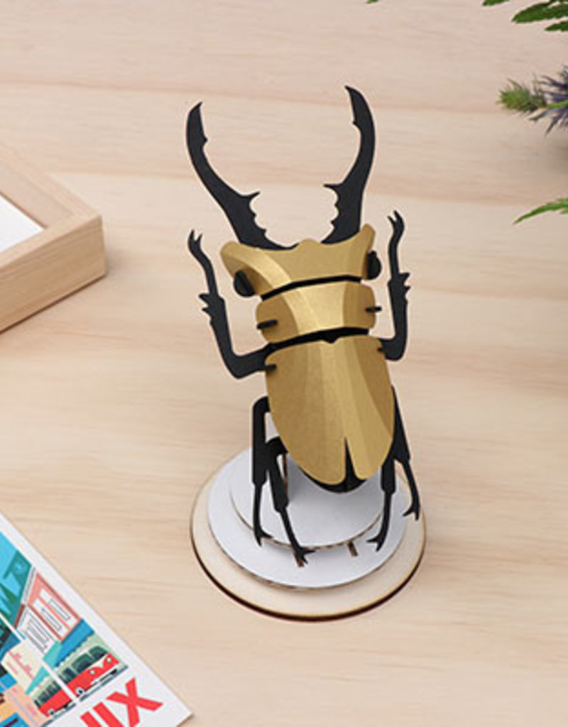 DIY DECORATION - Stag Beetle (s)