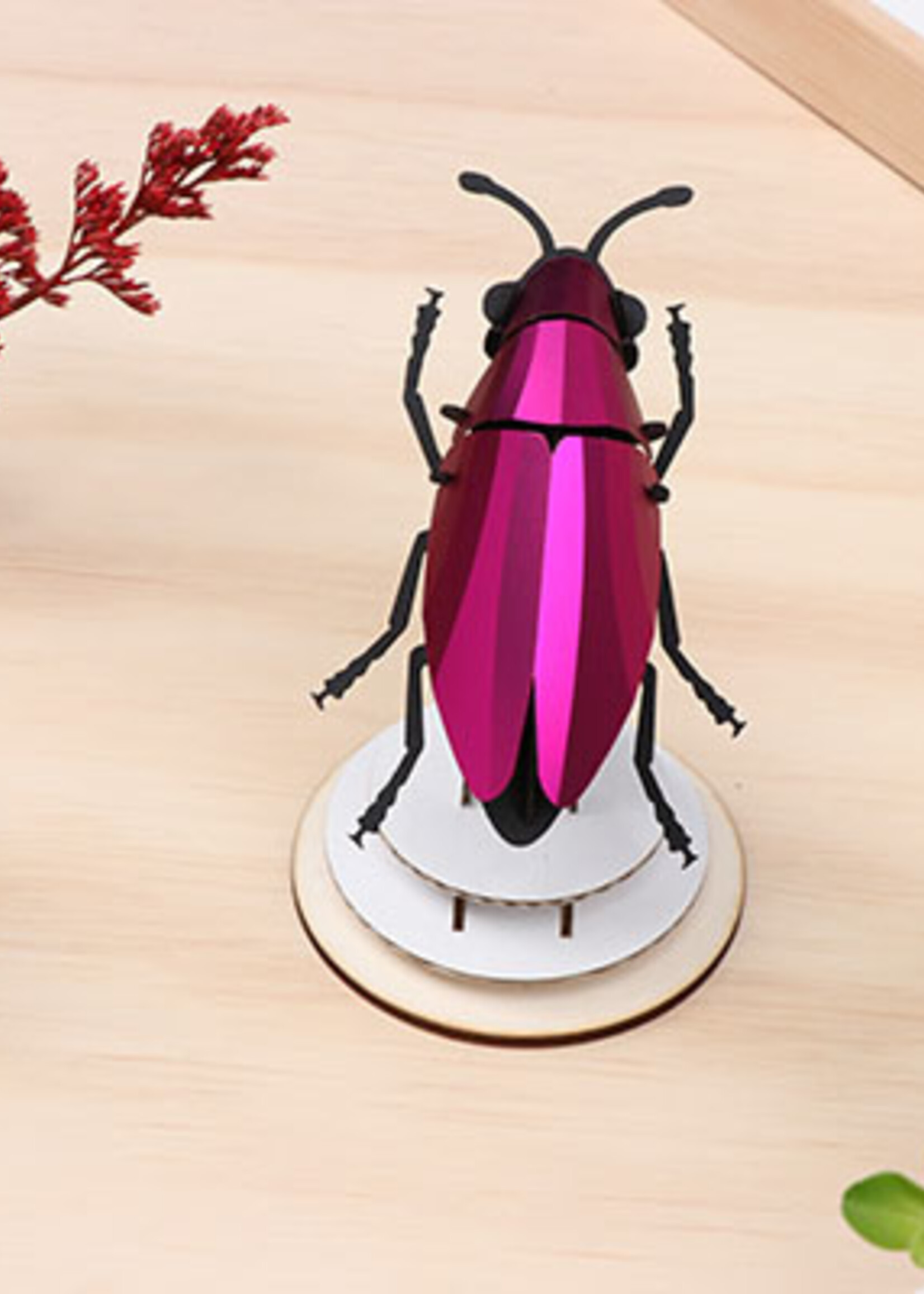 DIY DECORATION - Coléoptère Buprestidae