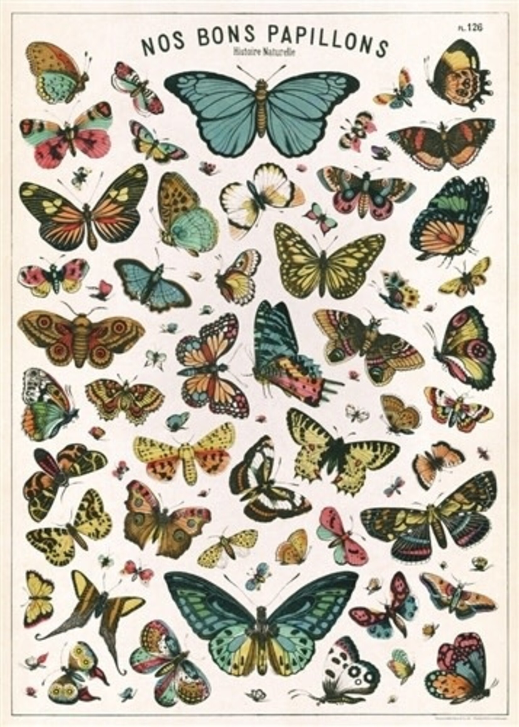 AFFICHE VINTAGE - Histoire Naturelle: Papillons (50x70cm)