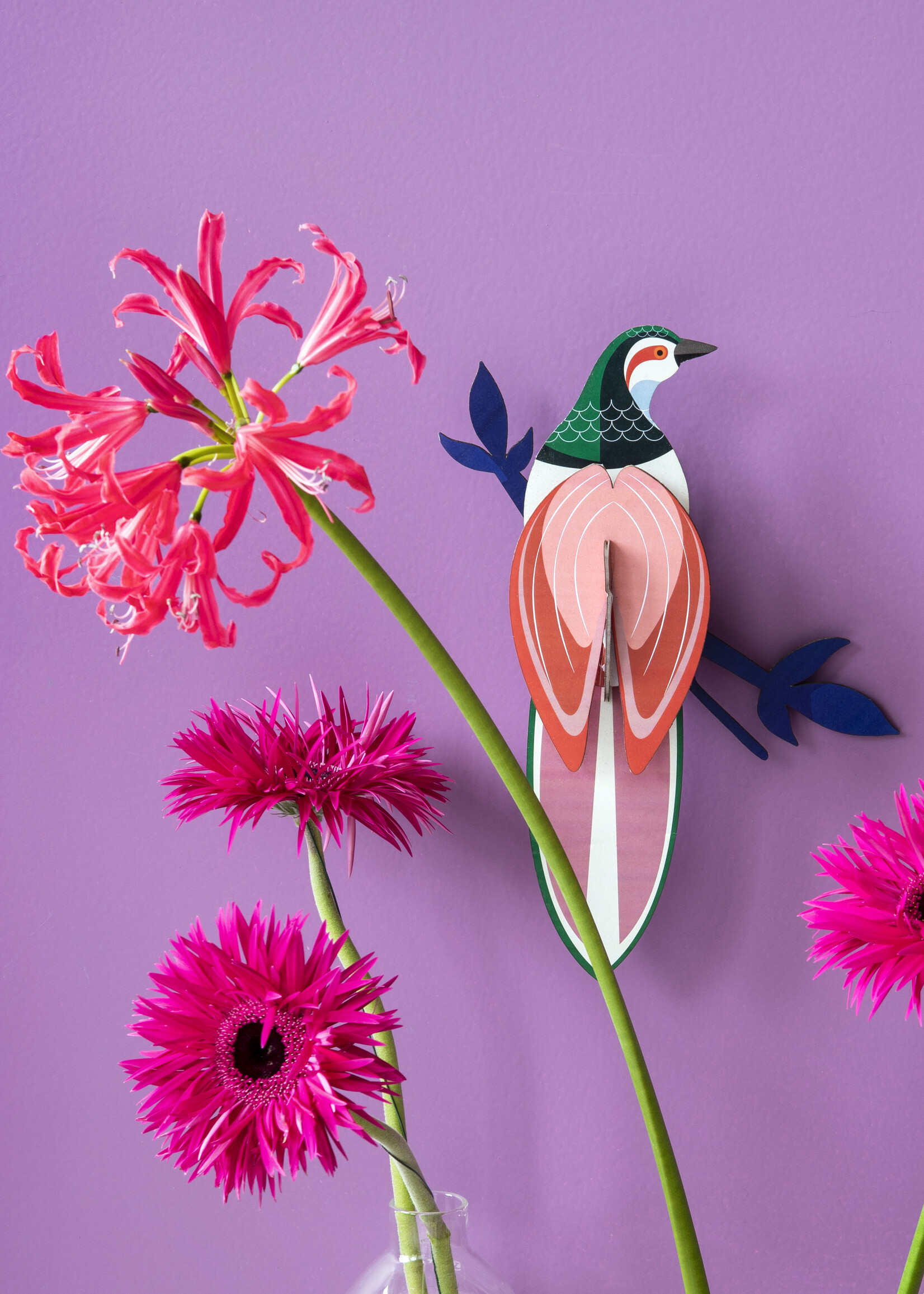 DIY WALL DECORATION - Bird of Paradise - Rani