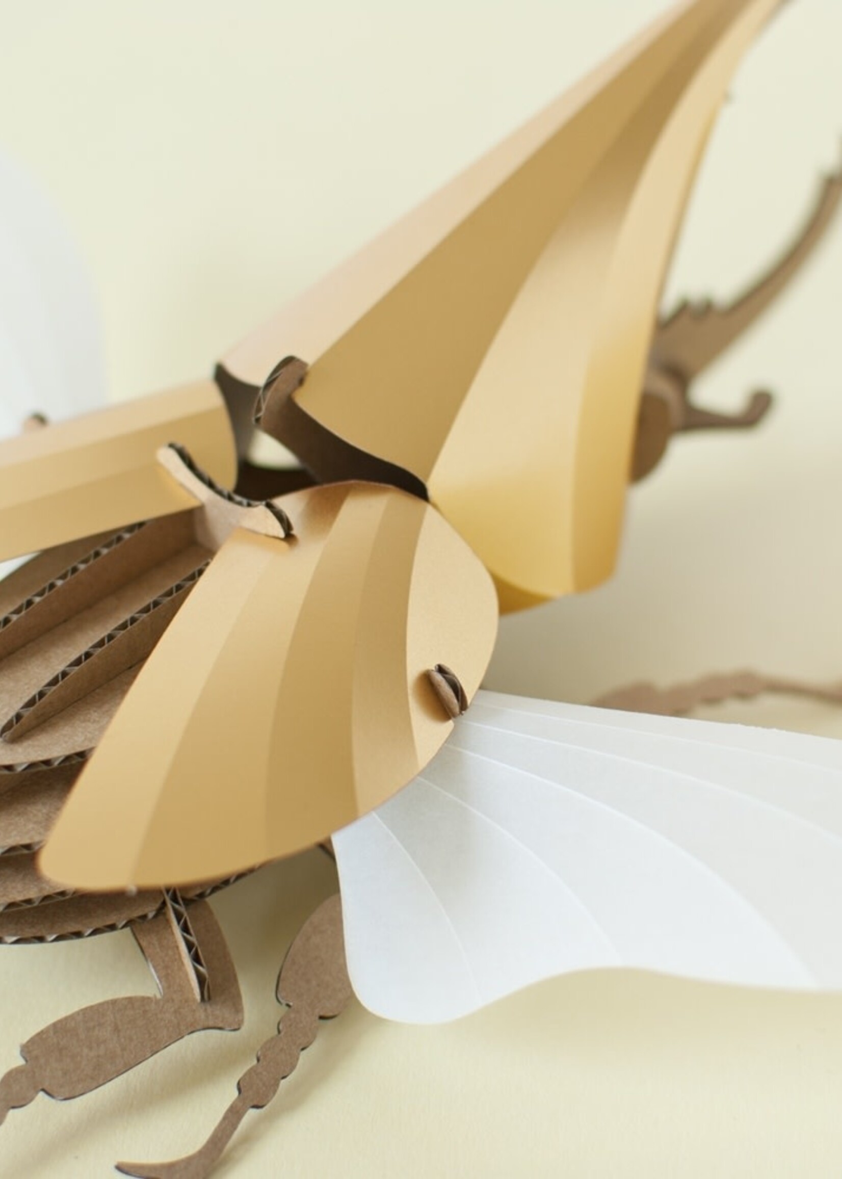 DIY DECORATIE - Herculeskever