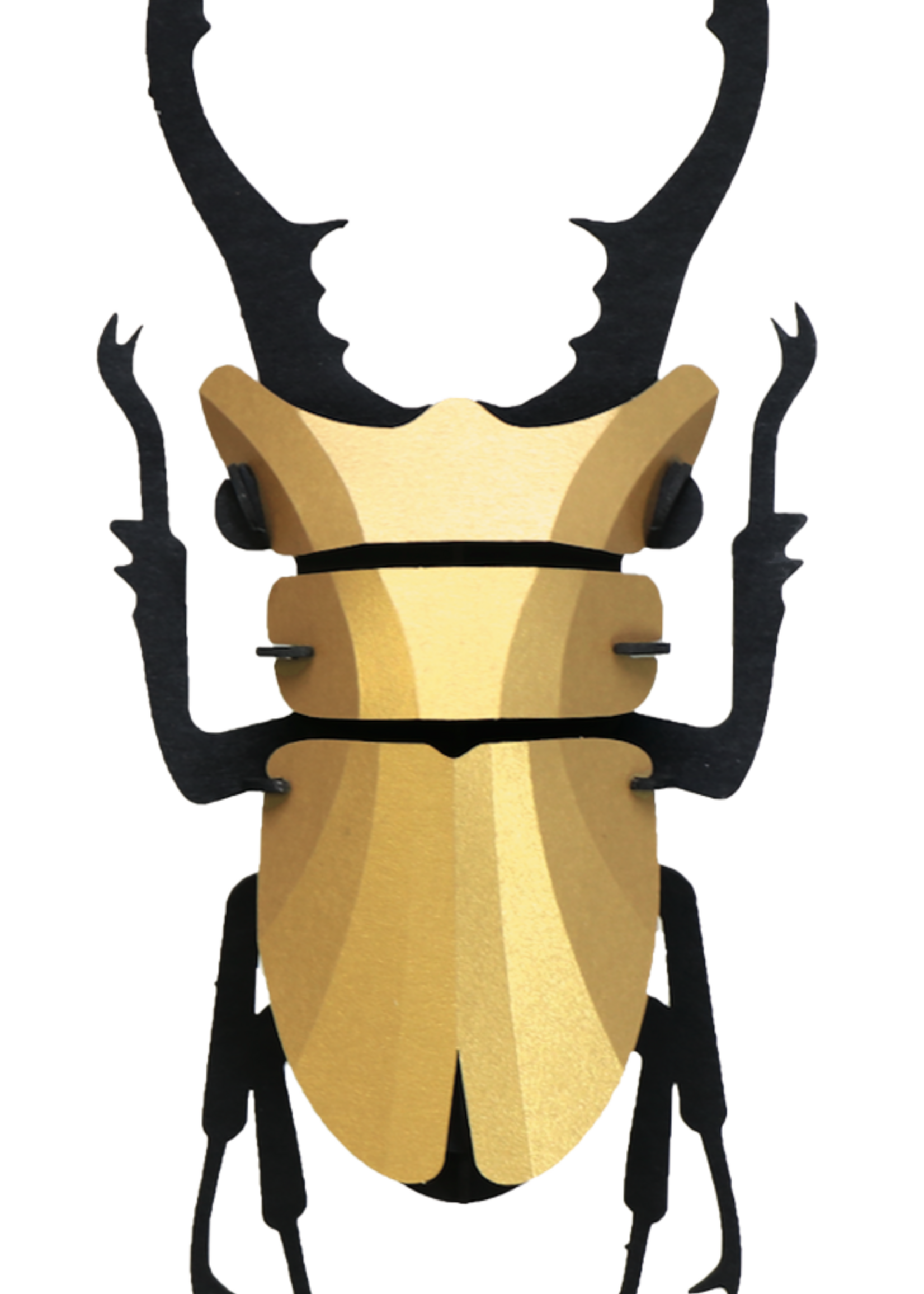 DIY DECORATION - Stag Beetle (s)