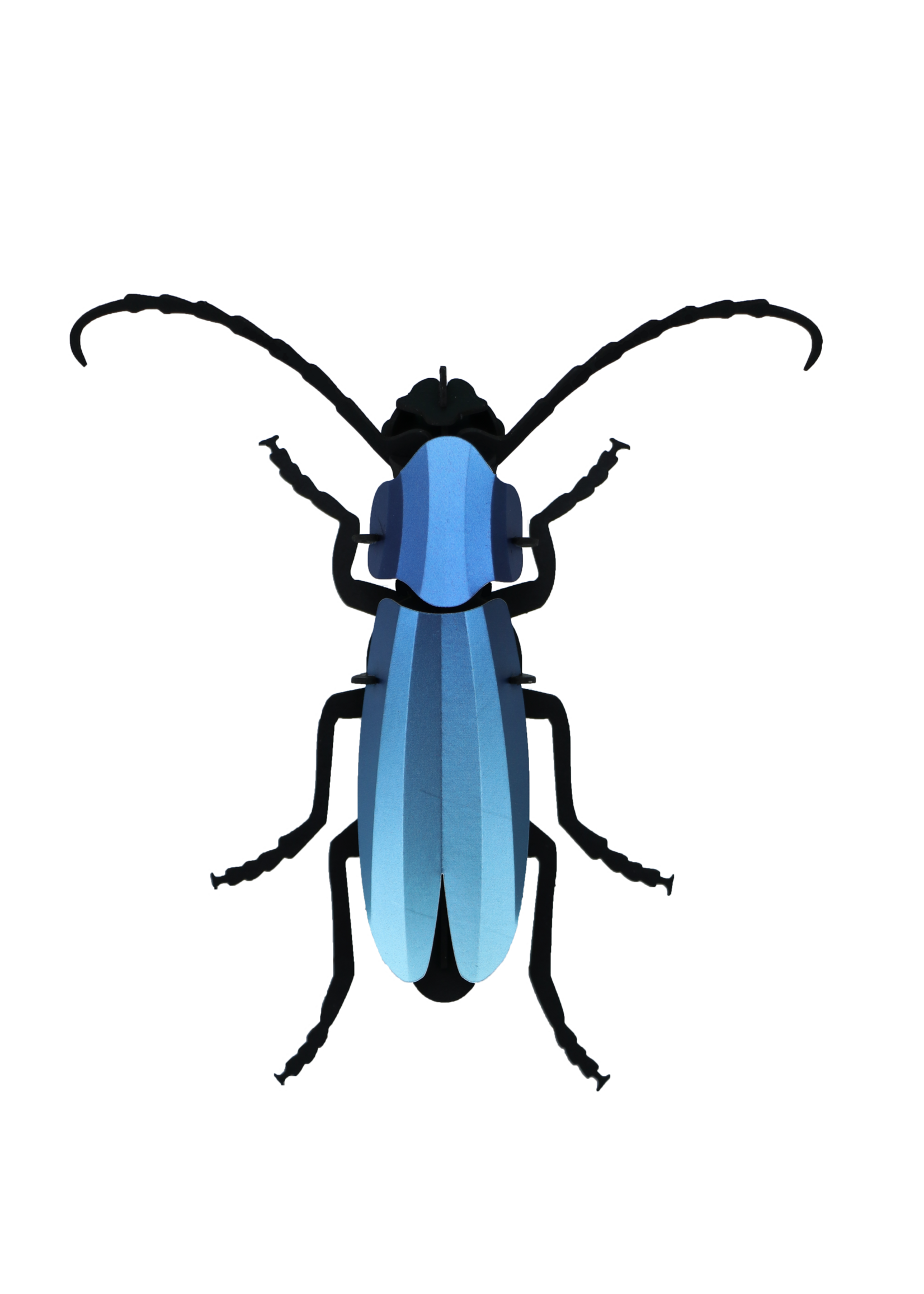 DIY DECORATION - Rosalia Beetle