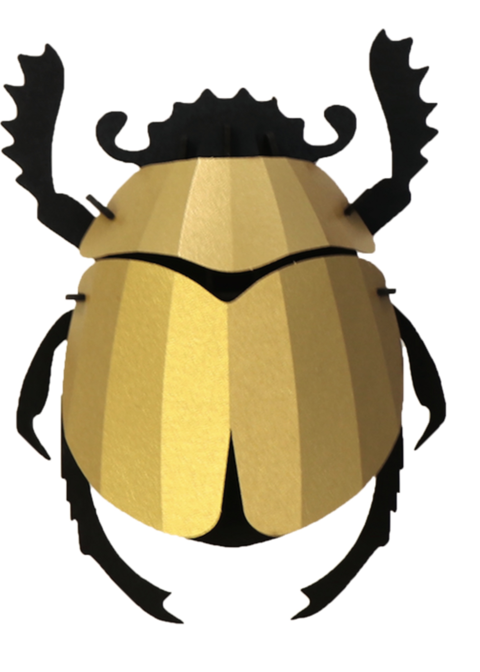 DIY DECORATION - Scarab Beetle