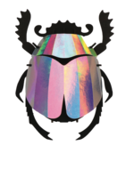 DIY DECORATION - Scarab Beetle