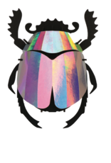 DIY DECORATION - Scarab Beetle