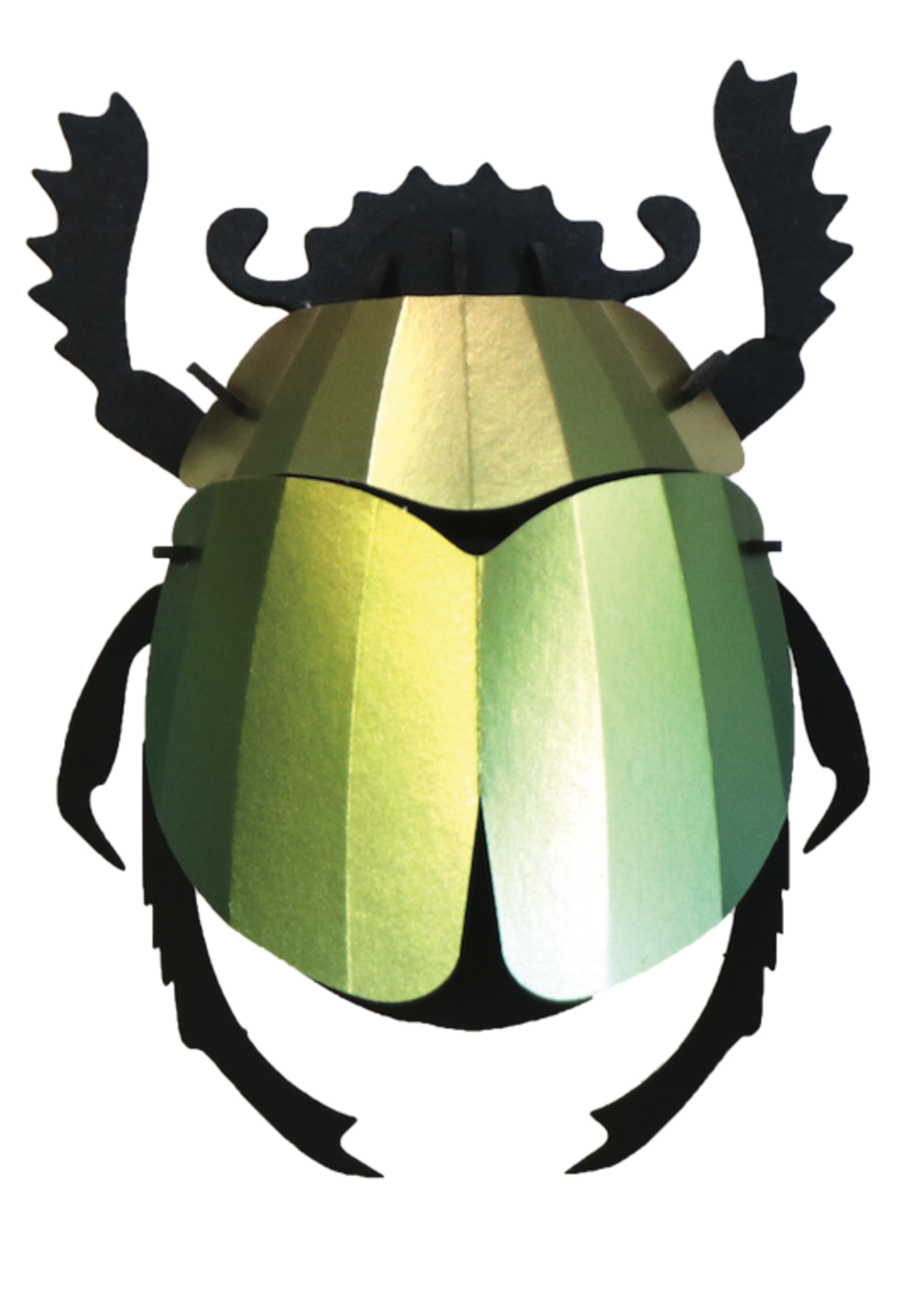 DIY DECORATION - Scarab Beetle