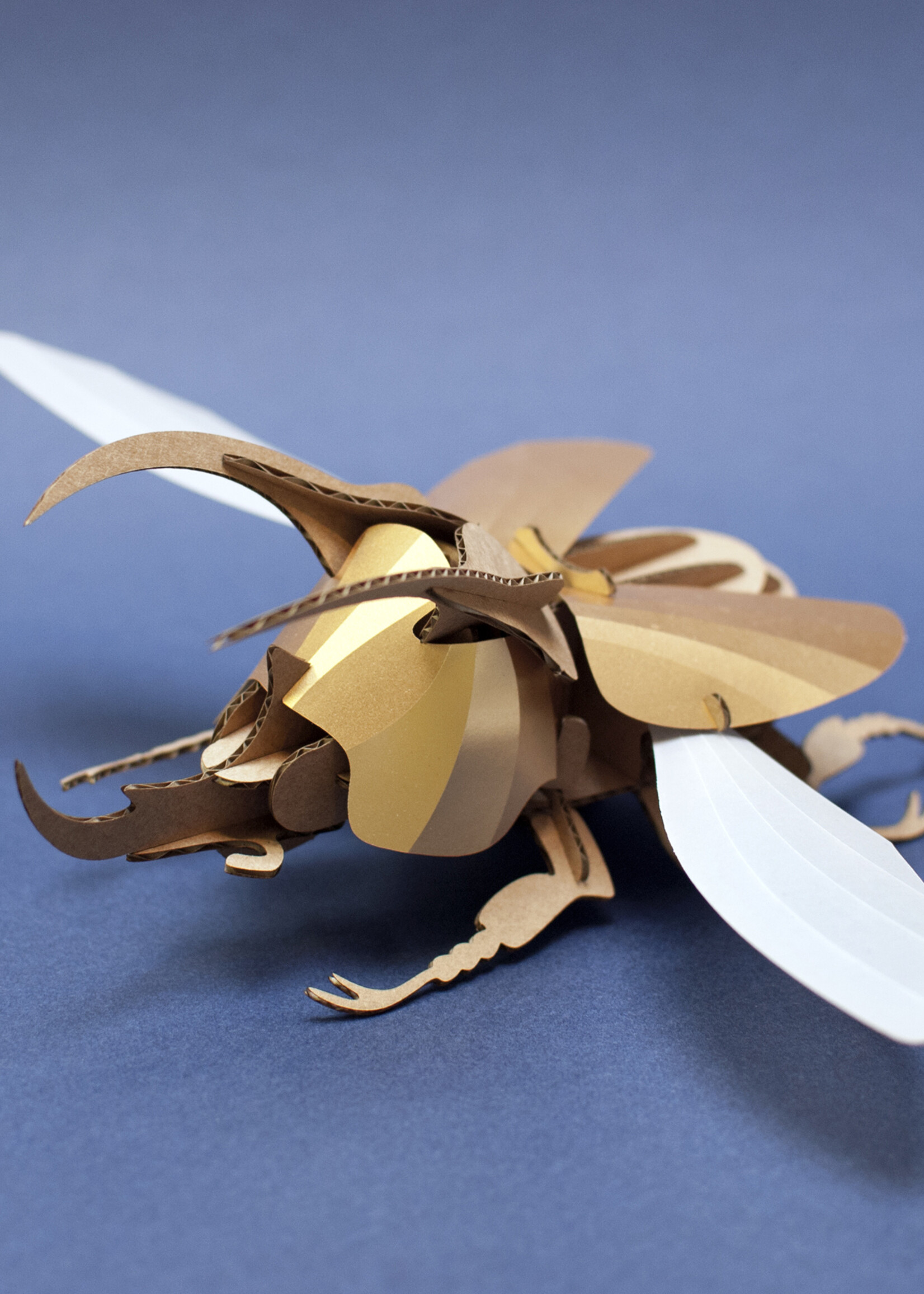 DIY DECORATION - Atlas Beetle